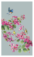 Load image into Gallery viewer, Tea Towel "Bauhinia" TT01